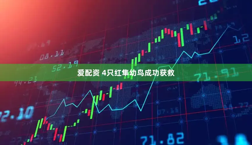 爱配资 4只红隼幼鸟成功获救