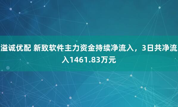 溢诚优配 新致软件主力资金持续净流入，3日共净流入1461.83万元